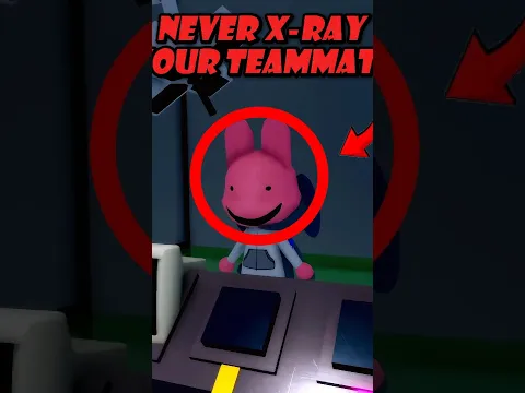Never X Ray Your Teammate in Animal Hospital!