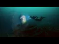 UB88 WWI German Submarine Outside Of Long Beach California - Paragon Dive Adventures