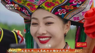 《三农群英汇》 20261009 边境上的宝藏小城 | 农业致富经 Agriculture And Farming