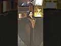 Download Lagu Dubai Princess Beautiful New Dance #sheikhamahra #dubai #uae #love #crew #ytshorts #shorts