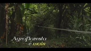 Agrofloresta é mais