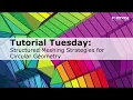 Structured Meshing Strategies for Circular Geometry