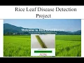 Rice Leaf Disease Prediction Using Machine Learning Final Year Project Python Project