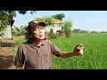 Download Lagu Eco farming indramayu kg ipang supendi ( darwijem)
