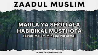 Download Maula Ya Sholi Ala Habibikal Musthofa (syair) | Zaadul Muslim MP3