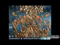 Download Lagu Kompilasi Obb Primetime News METR🔮TV (Sekarang)