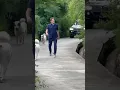 Download Lagu Chairman Imran Khan at Bani Gala