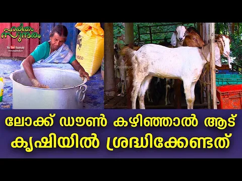 Download MP3 Know about goat farming after the lockdown | Haritham Sundharam | EP 274