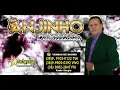 Download Lagu ANJINHO DOS TECLADOS SERESTAS APAIXONADAS DE SUCESSO NO FORRO TECLADO DANÇA E MAIS