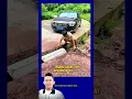 Download Lagu ABANG RONI SELALU MELAKUKAN KEBAIKAN #viralshorts #movie #reaction #drama