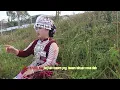 Download Lagu Thov cia kuv nrog koj mus . Nkauj ntsum xyooj