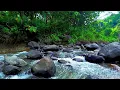Download Lagu The Beautiful River Nature's Symphony for Sleep , Deep Sleep and Sweet Dream | River ASMR