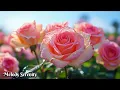 Download Lagu ЛУЧШИЕ мелодии, которые вызовут у вас мурашки🌺Расслабляющая музыка для отдыха🌿Сергей Грищук
