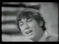 Download Lagu The Animals - It's My Life