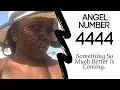 Angel Number 4444 Something So Much Better Is Coming