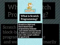 What is Scratch Programming