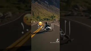 بعشق امك يا هارتي     دندنها