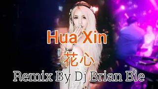 hua xin electro manyao by dj brian bie manyaoremix manyao dj remix djremix djremix