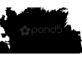 Paper Absorbs Ink Paint Sequence Stock Footage