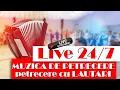 Download Lagu 🍷🎹 LIVE 24/7 🍷🎹 - muzica lautareasca, populara, de petrecere #lautari #populara #petrecere2022