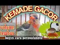 Download Lagu CARA MERAWAT BURUNG TALOKAN AGAR CEPAT GACOR