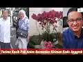 Download Lagu Anies Baswedan Kagetkan Jokowi, Kirim Iriana Kado Ultah ke 62 Bungga Anggrek Unggu Langka Dikediaman