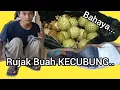 Download Lagu Rujak KECUBUNG Bikin Gila