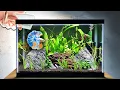 EASY Planted Tank Tutorial for Betta Fish Step by Step