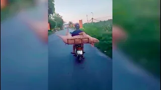 20 Невероятных Моментов Снятых На Камеру.