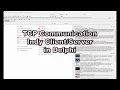 TCP client and server in Delphi