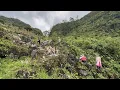 Download Lagu Đường thoát khổ (T24) anh lầu quyết định chắc nịt phải bám mép vực bên trong _ chao vlog team 