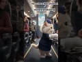Download Lagu Cute Kitty  as a flight attendant ✈️my own creation and design #cutecat #catlovers