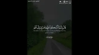  قال إنما أشكو بثي وحزني إلى الله وأعلم من الله ما لا تعلمون    القارئ  راشد الحليبة دندنها