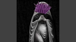 Lavender  Lavender