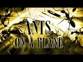 Download Lagu Ants on a Plane - Full Movie