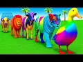 Long Slide Game with Cow Elephant Gorilla Hippopotamus Tiger 3d Animal Game Funny 3d Animals