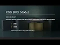 CSS Tutorial Box Model Margins and Padding by Step