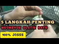 Download Lagu Cara memilih gelatik batu yang bagus di ombyokan | Tips ngombyok glatik jantan ombyokan