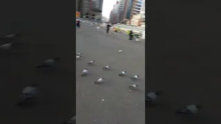 سورة الإسراء للقارئ الشيخ يوسف العيدروس 