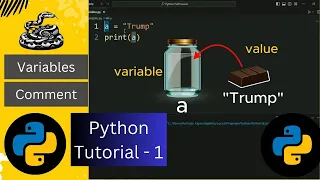 Variables and Comment Python Tutorial - 1 Python Full Course