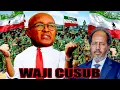 Lagu DEG DEG Dagalka DFS \u0026 Somalilnd oo waji xun yeeshay Beesha Ciise oo Gooni isku taag ku dhow…