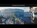 Download Lagu Tim White Presents: Tracking fish and fisheries for ocean management