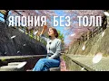 Download Lagu Первые дни весны в Фукуоке, скрытые локации и мысли о жизни в Японии
