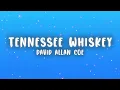 David Allan Coe - Tennessee Whiskey (Lyrics)