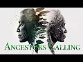 Download Lagu Ancestors Calling - Tribal Ambient - Shamanic Drumming - Music for Profound Connection to Spirit