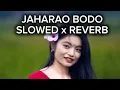 Lagu Jaharao || bodo || song || slowed and reverb || juty daimari bido song || 