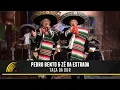 Download Lagu Pedro Bento \u0026 Zé Da Estrada - Taça Da Dor - 55 Anos De Sucesso