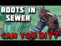 How to Remove Tree Roots from Sewer Pipe - How to Unclog Main Drain Line