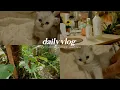 cozy vlog kittens are growing too fast plant watering routine