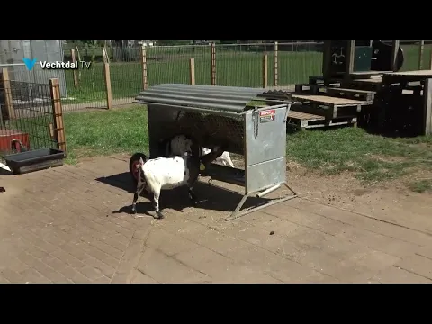 Nieuw hekwerk voor kinderboerderij Ommen
